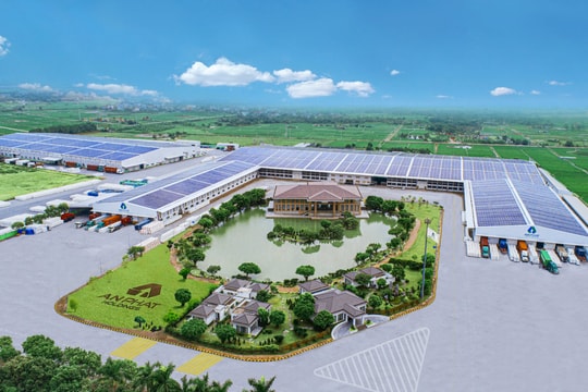 Đại gia ngành nhựa giải bài toán chứng khoán bị cảnh báo, cổ phiếu bốc hơi tới 86%