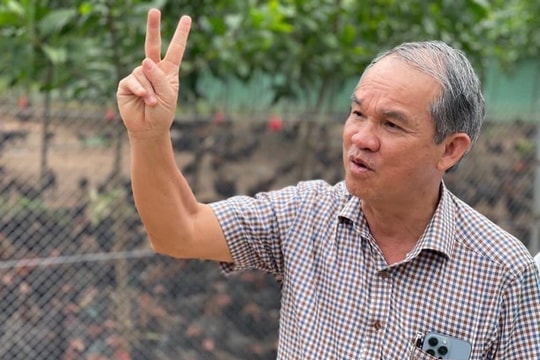 Hoàng Anh Gia Lai (HAG) muốn đưa 2 con lên HOSE, quyết tâm làm lớn mảng nông nghiệp