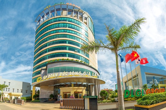 Đại gia phố núi Gia Lai vừa có giải trình với HOSE, cổ phiếu lập tức cháy hàng