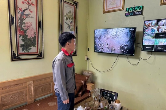 Rời công việc nhà nước, người nông dân Lào Cai vươn lên thành tỷ phú nhờ công thức chăn nuôi "5–3" độc đáo, thu về 4 tỷ đồng mỗi năm