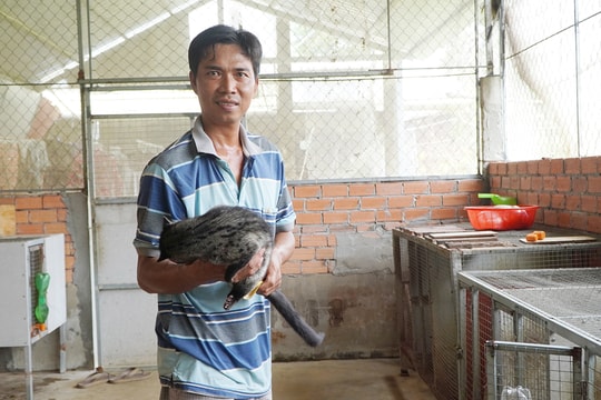 Nông dân An Giang làm giàu từ “thú vui lạ”, kiếm cả trăm triệu mỗi năm