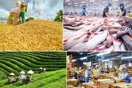 Xuất khẩu nông lâm thủy sản 10 tháng đạt hơn 58 tỷ USD, tăng gần 13%