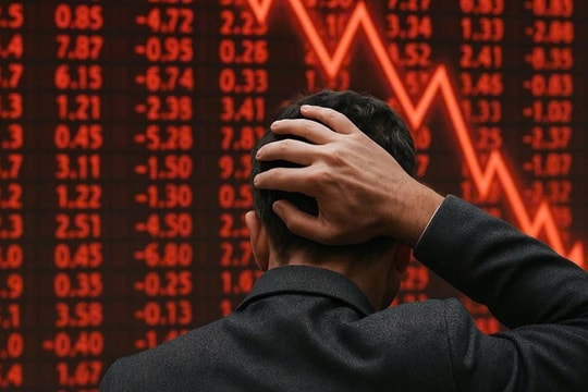 Chuyến tàu muộn cập bến HOSE những ngày cuối năm 2024: Cổ phiếu rớt về mệnh giá, doanh thu nghìn tỷ lãi chỉ 1%