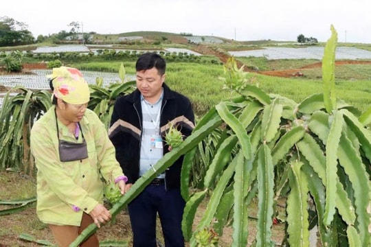 Câu chuyện làm giàu của người nông dân Sơn La: Hàng chục mô hình tiềm năng, cho thu nhập vài trăm triệu đồng