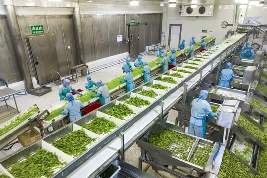 Chân dung “lão tướng” ngành nông sản Việt sắp lên HOSE, cổ phiếu tăng nóng 900% vẫn chưa có dấu hiệu dừng