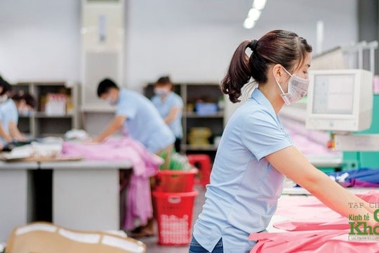 Một công ty chứng khoán bán ra lượng lớn cổ phiếu dệt may ngay trước ngày doanh nghiệp trả cổ tức