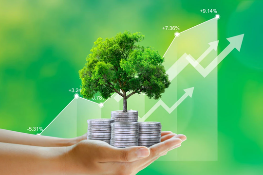 Thủ tướng yêu cầu trình Nghị định hỗ trợ lãi suất 2% cho doanh nghiệp thực hiện dự án xanh ngay trong tháng 11