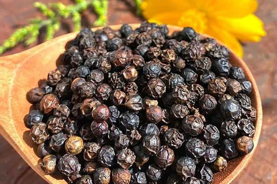 Giá tiêu hôm nay 14/11/2025: Giảm 1.000 đồng, thị trường bước vào giai đoạn cao điểm trước Tết