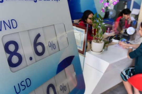 Lãi suất ngân hàng hôm nay 13/11: Mức giản giữ mốc ổn định, khách VIP hưởng mức siêu cao