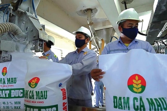 Đạm Cà Mau (DCM) bước vào chu kỳ thuận lợi hiếm thấy