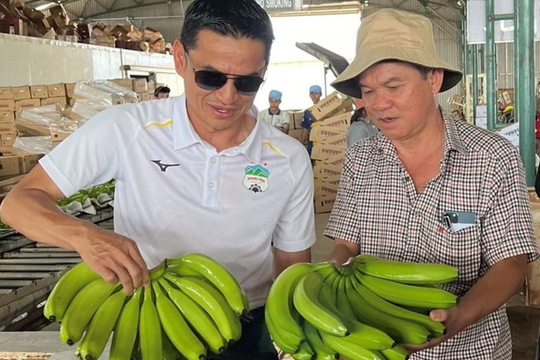 Mỹ giảm thuế nhập khẩu chuối tác động ra sao đến doanh nghiệp nhà bầu Đức?