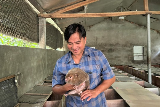 Những người nông dân Quảng Ngãi điển hình cho việc làm giàu thành công nhờ tư duy mới