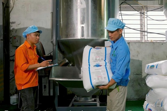 Vừa báo lãi kỷ lục, một tân binh ngành nhựa đã muốn "thử lửa" trên sàn chứng khoán niêm yết