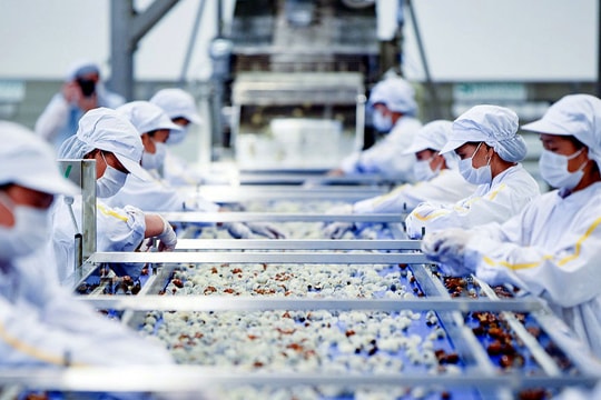 Chấp thuận niêm yết cổ phiếu một doanh nghiệp nông sản có tiếng tại miền Tây