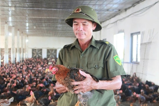 Nông dân Hải Phòng gây chú ý với mô hình kinh tế độc đáo, mỗi năm thu về tiền tỷ