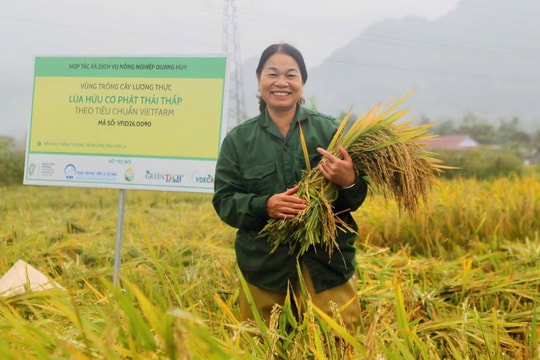 Người nông dân Sơn La đưa sản vật "tự hào của miền quê" thành thương hiệu chất lượng cao