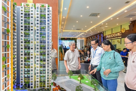 Ngành môi giới bất động sản vào mùa sôi động, vì sao triển vọng DXS sáng lên còn CRE chậm lại?