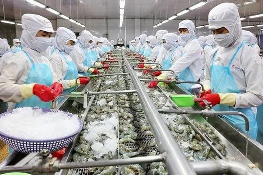 Thuế quan thay đổi cục diện, doanh nghiệp thủy sản Việt lấp khoảng trống thị phần từ Trung Quốc