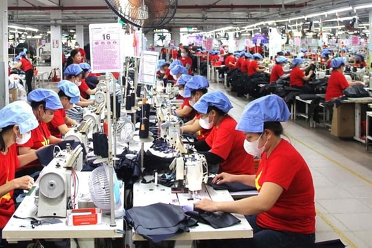 Ninh Bình tìm đường nâng sức bật kinh tế tư nhân, doanh nghiệp vừa và nhỏ hưởng lợi trực tiếp