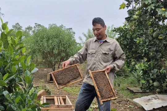 Cầm tay hơn 300 triệu/năm, người nông dân Thanh Hóa thành công tạo ra mô hình đặc biệt cho thu hoạch suốt bốn mùa