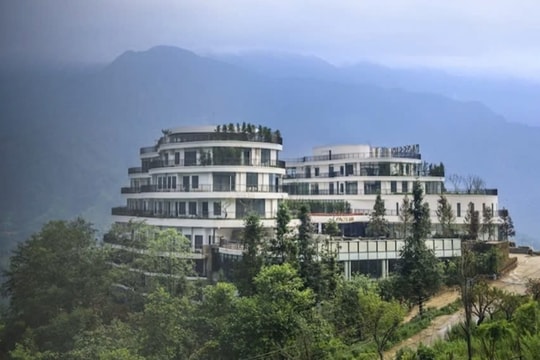 CTX Holdings xin hủy tư cách đại chúng giữa biến động mạnh về quản trị và cơ cấu cổ đông