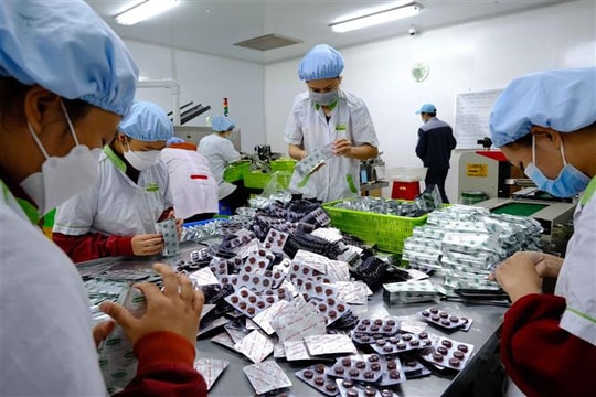 Ảnh hưởng ngắn hạn do lũ lụt, doanh nghiệp dược vẫn sáng triển vọng nhờ động lực từ chính sách