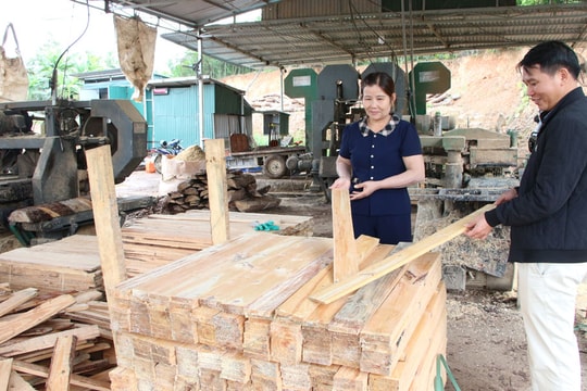 Những mô hình làm giàu mới tại Bắc Ninh, người nông dân dễ dàng cầm tay vài trăm triệu đồng