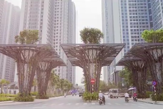TNR Holdings Việt Nam báo lỗ 167 tỷ đồng, bức tranh tài chính chịu sức ép