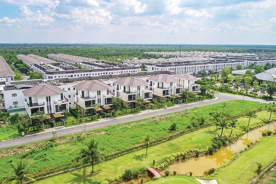 Một thị trường đầy dư địa mà cả Novaland, Vingroup đều nhìn thấy cơ hội