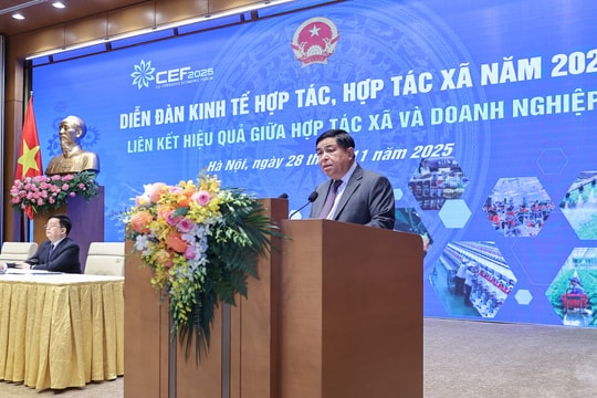Phó Thủ tướng Nguyễn Chí Dũng: Phải coi hợp tác xã là đối tác kinh doanh bình đẳng