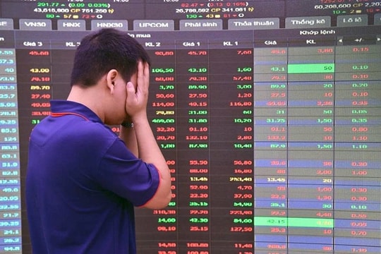 Rộ tin mất tư cách đại chúng, cổ phiếu "vàng" trong làng hậu đãi cổ đông bị bán tháo