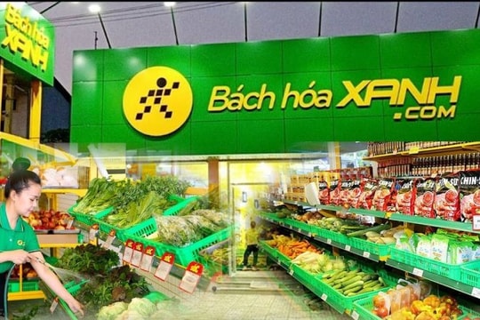 Bách Hoá Xanh chính thức mở rộng ra miền Bắc