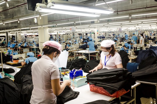 Hòa Thọ - Ngôi sao bền bỉ trong hệ sinh thái Vinatex