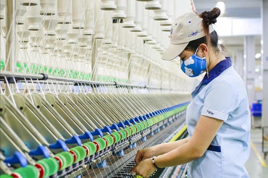 Hệ sinh thái 20.000 tỷ của Vinatex: Những ‘ngôi sao’ mang về nghìn tỷ lợi nhuận