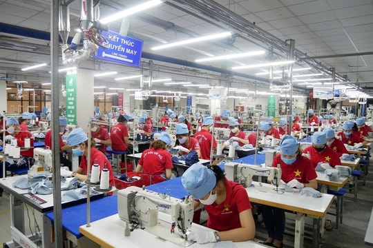 Đình chỉ hai kiểm toán viên ký báo cáo tài chính cho một doanh nghiệp may