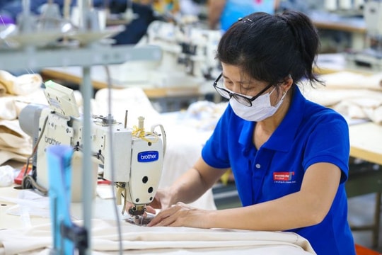 'Cỗ máy cổ tức' âm thầm mang về trăm tỷ lợi nhuận cho Vinatex