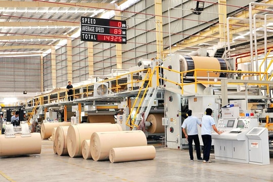 Hơn 200 nhà máy giấy đóng cửa khiến thị trường thiếu hàng, Đông Hải Bến Tre (DHC) hưởng lợi rõ nhất?