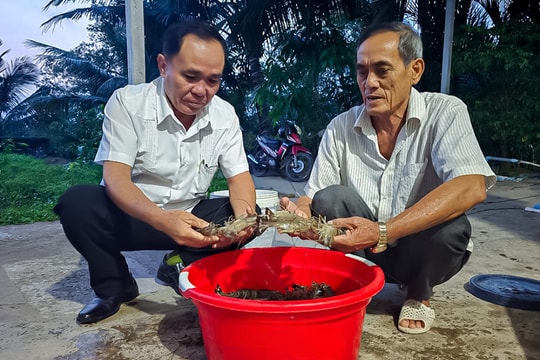 Nông dân Cà Mau mở đường làm giàu với mô hình hiệu quả cao, rủi ro thấp