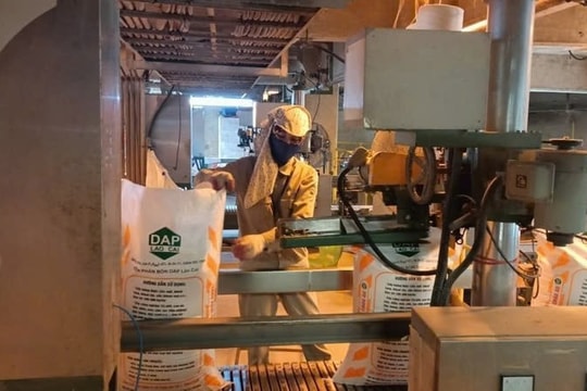 Các dự án lớn đồng loạt chuyển mình, DDV lại đón thêm nhiều “làn gió thuận”
