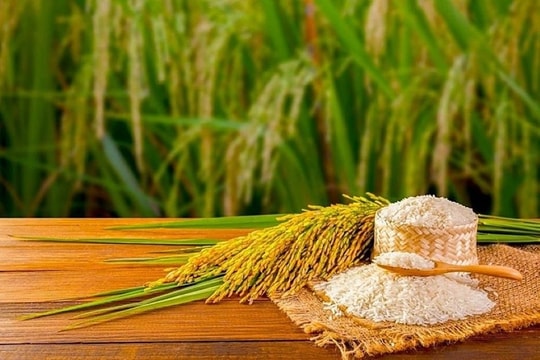 Giá gạo lao dốc, Thái Lan bất ngờ tìm thấy "vị cứu tinh" tại châu Á