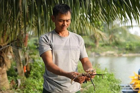 Nông dân Thanh Hóa hồi sinh vùng trũng bỏ hoang, dựng trang trại gần 5ha mang về hàng trăm triệu mỗi năm