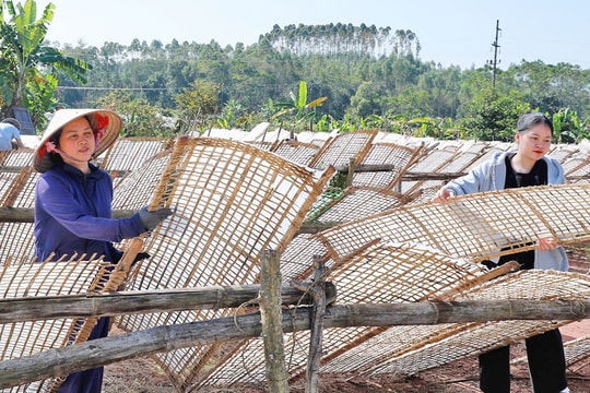 Từ nghề truyền thống nhỏ lẻ đến sinh kế giúp người nông dân Bắc Ninh có thu nhập cao bền vững