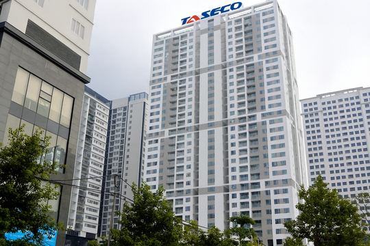 Quỹ đất gần 1.000 ha làm nền tảng, triển vọng lợi nhuận Taseco Land (TAL) tăng mạnh từ 2026?