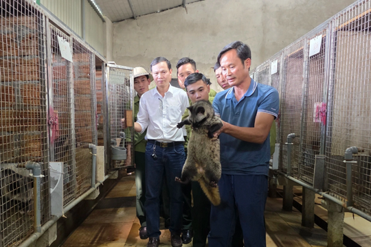Mạnh dạn đầu tư số tiền lớn, người nông dân Nghệ An nay thu hàng trăm triệu mỗi năm từ mô hình ít ai ngờ tới