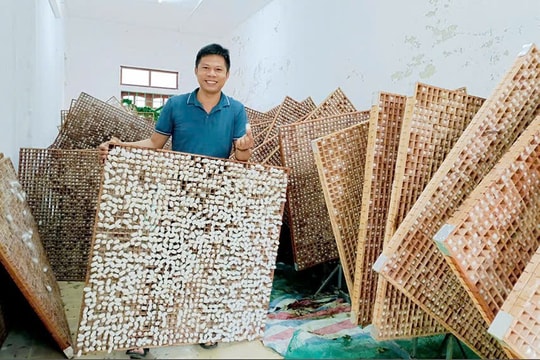 Mô hình độc lạ mang về nửa tỷ đồng/năm cho người nông dân Hà Tĩnh