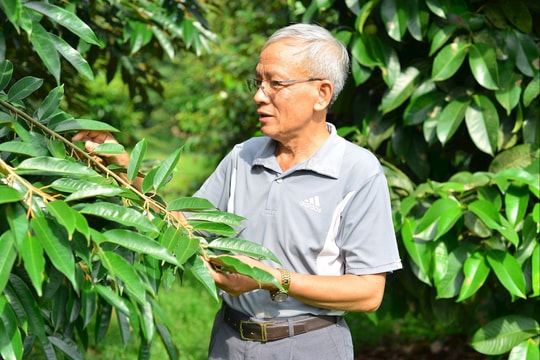 Nông dân Lâm Đồng thay đổi vùng chiêm trũng khó khăn thành “thung lũng tỷ phú” nhờ giống trái thơm lạ