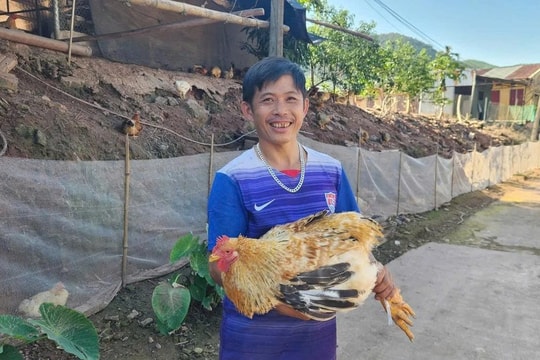 Nhờ giống con "đặc sản", người nông dân Quảng Ninh thu số tiền lớn mỗi tháng