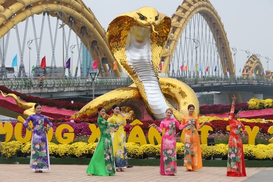 Đà Nẵng chi gần 20 tỷ đồng trang trí hoa, điện chiếu sáng phục vụ Tết 2026