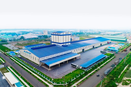 Biên lợi nhuận gộp của Nông nghiệp Hòa Phát (HPA) được dự báo sẽ giảm dần, lý do vì đâu?