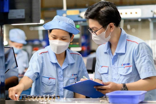 Tập đoàn Thiên Long (TLG) sắp trả quyền lợi cho cổ đông trước thềm thương vụ đổi chủ